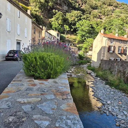 Cathare Holiday home *